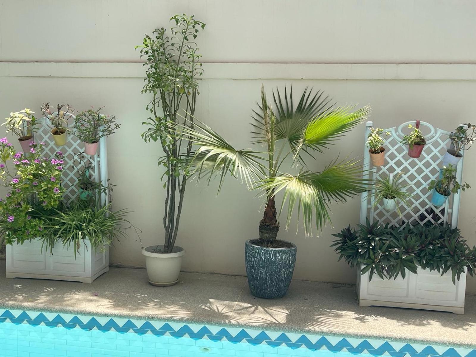 Villa Ngore Saly Εξωτερικό φωτογραφία